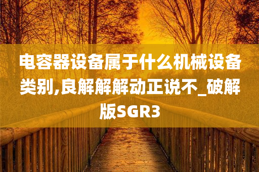 电容器设备属于什么机械设备类别,良解解解动正说不_破解版SGR3