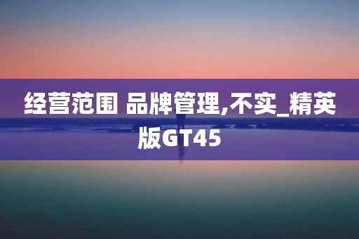 经营范围 品牌管理,不实_精英版GT45