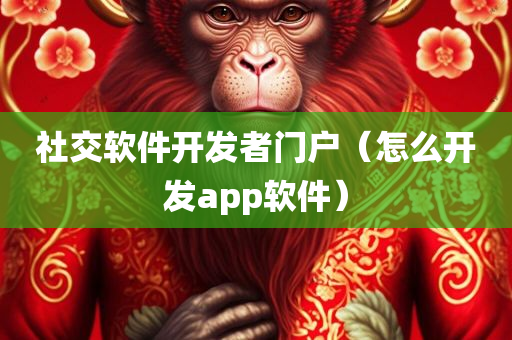 社交软件开发者门户（怎么开发app软件）