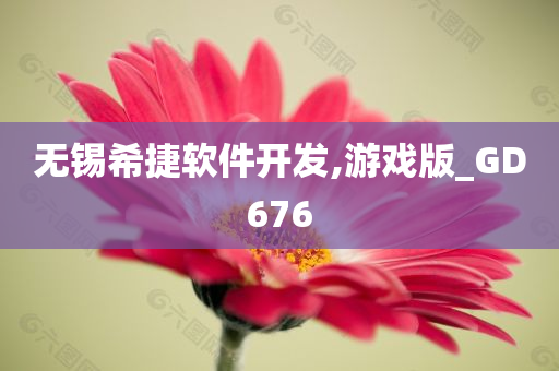 无锡希捷软件开发,游戏版_GD676