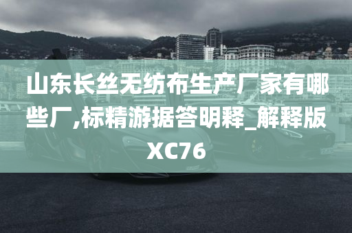 山东长丝无纺布生产厂家有哪些厂,标精游据答明释_解释版XC76