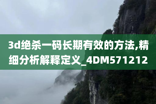 3d绝杀一码长期有效的方法,精细分析解释定义_4DM571212