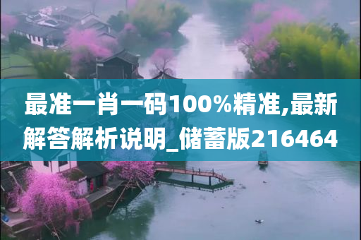 最准一肖一码100%精准,最新解答解析说明_储蓄版216464