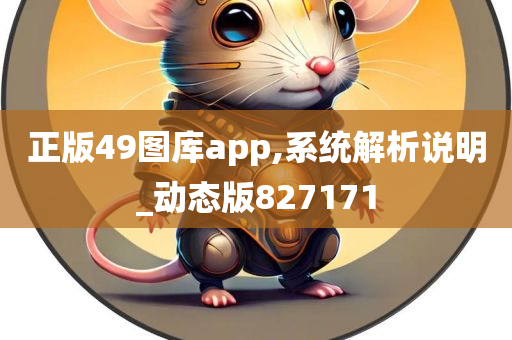 正版49图库app,系统解析说明_动态版827171