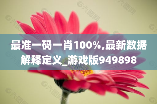 最准一码一肖100%,最新数据解释定义_游戏版949898