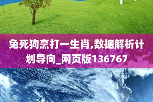 兔死狗烹打一生肖,数据解析计划导向_网页版136767