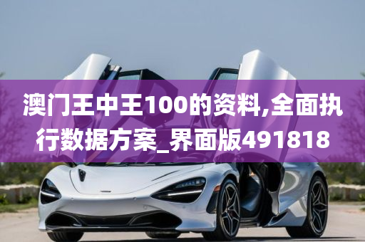 澳门王中王100的资料,全面执行数据方案_界面版491818