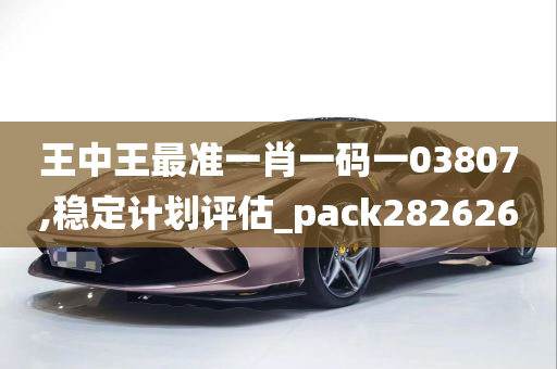 王中王最准一肖一码一03807,稳定计划评估_pack282626