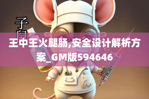 王中王火腿肠,安全设计解析方案_GM版594646