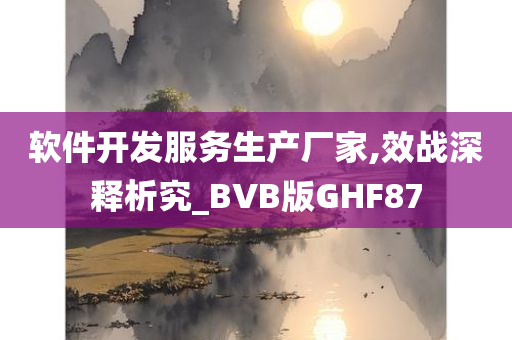 软件开发服务生产厂家,效战深释析究_BVB版GHF87