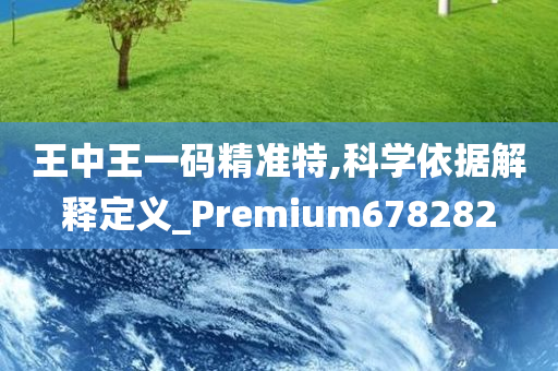 王中王一码精准特,科学依据解释定义_Premium678282