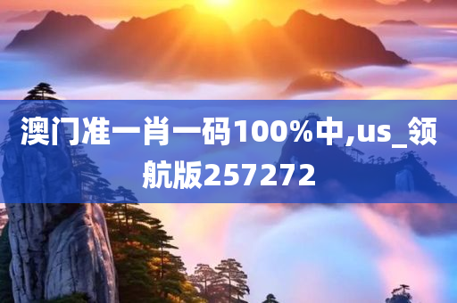 澳门准一肖一码100%中,us_领航版257272