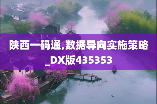 陕西一码通,数据导向实施策略_DX版435353