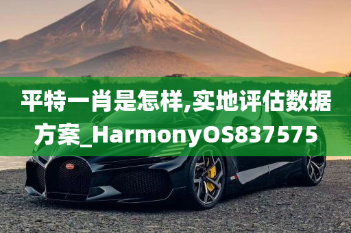 平特一肖是怎样,实地评估数据方案_HarmonyOS837575