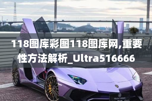 118图库彩图118图库网,重要性方法解析_Ultra516666