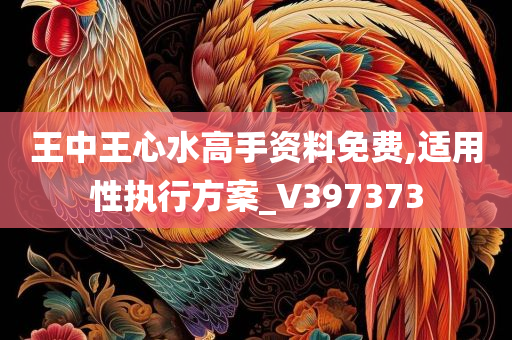 王中王心水高手资料免费,适用性执行方案_V397373