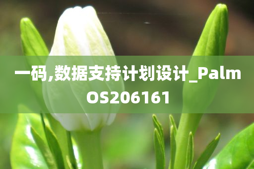 一码,数据支持计划设计_PalmOS206161