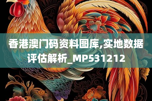 香港澳门码资料图库,实地数据评估解析_MP531212