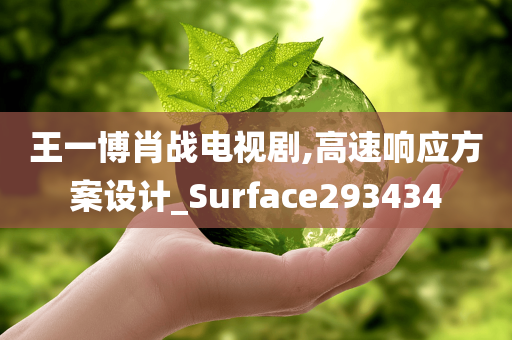 王一博肖战电视剧,高速响应方案设计_Surface293434