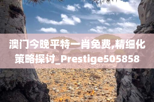 澳门今晚平特一肖免费,精细化策略探讨_Prestige505858