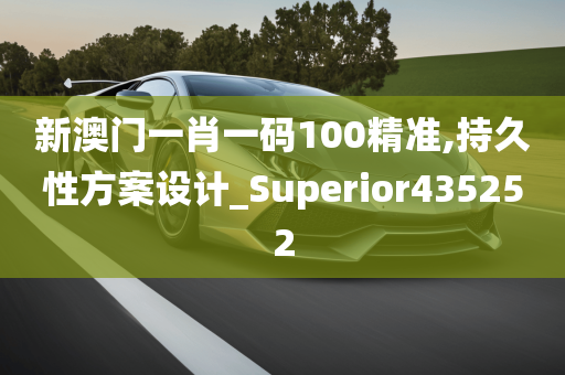 新澳门一肖一码100精准,持久性方案设计_Superior435252