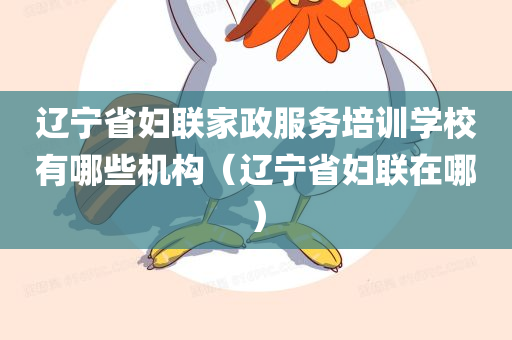 辽宁省妇联家政服务培训学校有哪些机构（辽宁省妇联在哪）