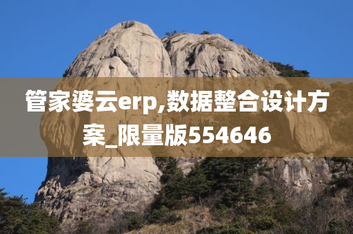 管家婆云erp,数据整合设计方案_限量版554646