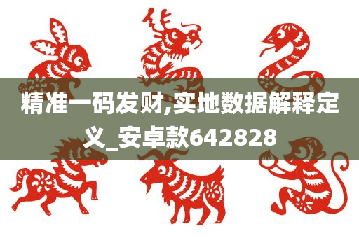 精准一码发财,实地数据解释定义_安卓款642828