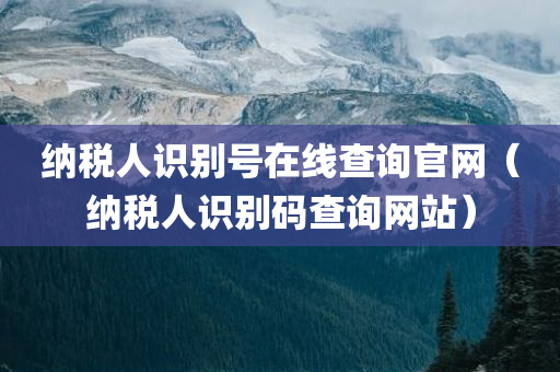 纳税人识别号在线查询官网（纳税人识别码查询网站）