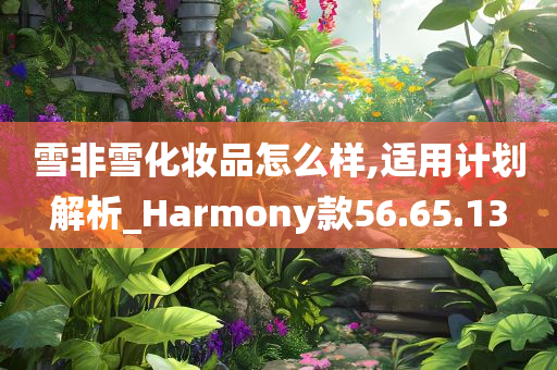 雪非雪化妆品怎么样,适用计划解析_Harmony款56.65.13