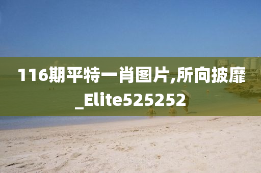 116期平特一肖图片,所向披靡_Elite525252