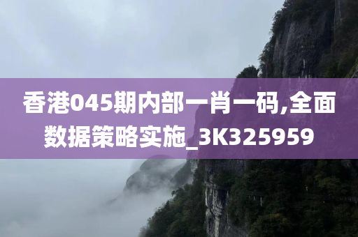 香港045期内部一肖一码,全面数据策略实施_3K325959