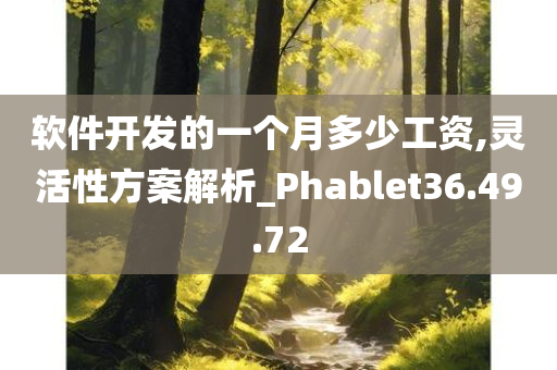 软件开发的一个月多少工资,灵活性方案解析_Phablet36.49.72