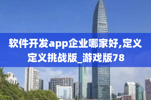 软件开发app企业哪家好,定义定义挑战版_游戏版78