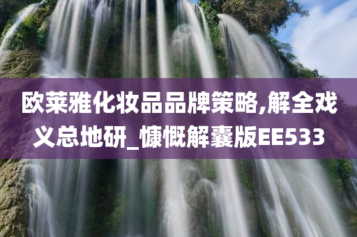 欧莱雅化妆品品牌策略,解全戏义总地研_慷慨解囊版EE533