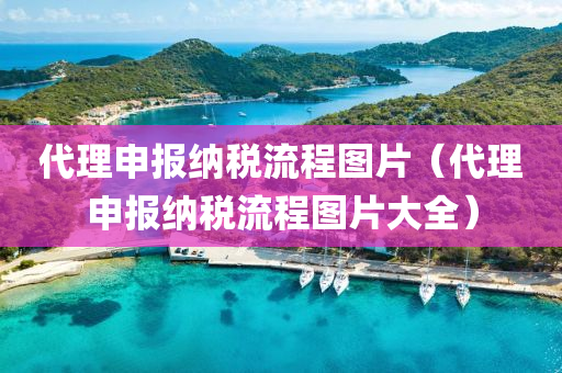 代理申报纳税流程图片（代理申报纳税流程图片大全）