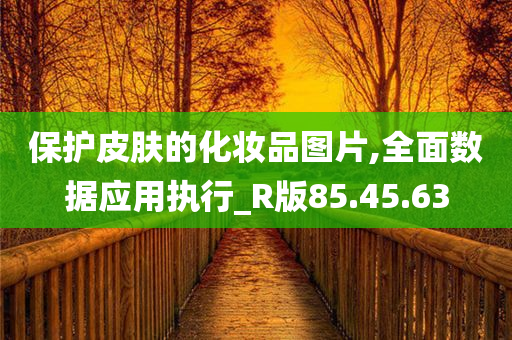 保护皮肤的化妆品图片,全面数据应用执行_R版85.45.63