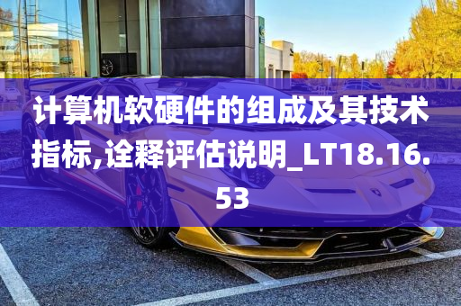 计算机软硬件的组成及其技术指标,诠释评估说明_LT18.16.53