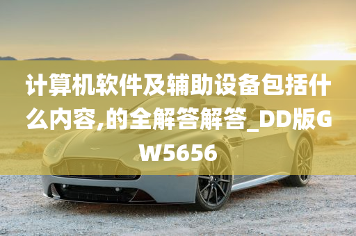 计算机软件及辅助设备包括什么内容,的全解答解答_DD版GW5656