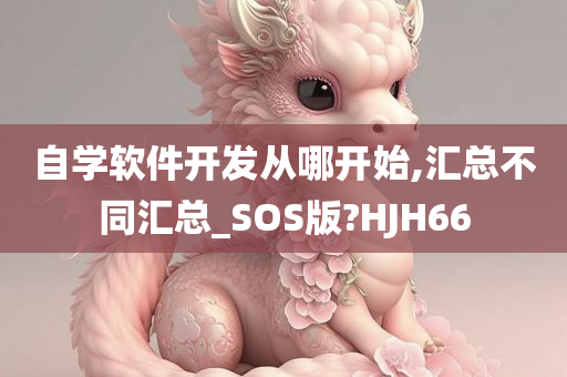 自学软件开发从哪开始,汇总不同汇总_SOS版?HJH66