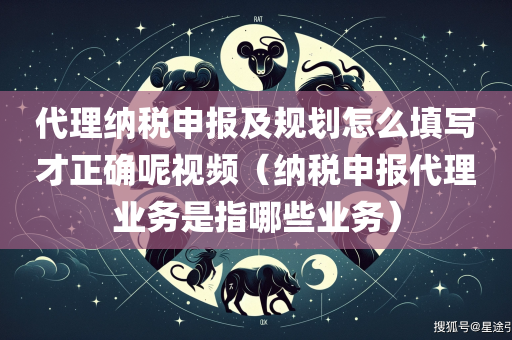 代理纳税申报及规划怎么填写才正确呢视频（纳税申报代理业务是指哪些业务）