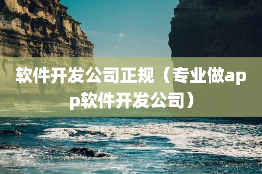 软件开发公司正规（专业做app软件开发公司）