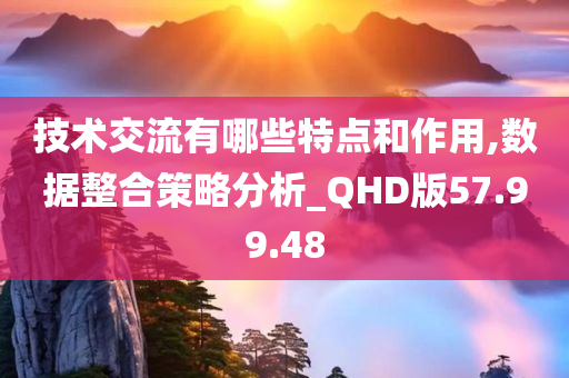 技术交流有哪些特点和作用,数据整合策略分析_QHD版57.99.48