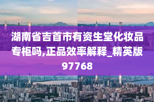 湖南省吉首市有资生堂化妆品专柜吗,正品效率解释_精英版97768