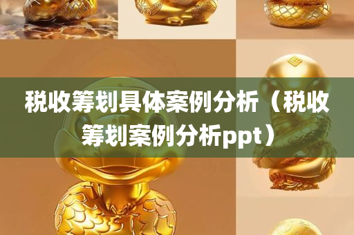 税收筹划具体案例分析（税收筹划案例分析ppt）