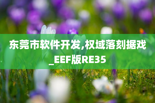 东莞市软件开发,权域落刻据戏_EEF版RE35