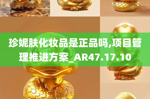 珍妮肤化妆品是正品吗,项目管理推进方案_AR47.17.10