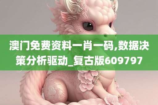 澳门免费资料一肖一码,数据决策分析驱动_复古版609797