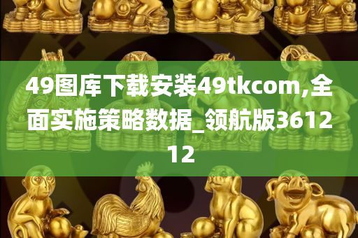 49图库下载安装49tkcom,全面实施策略数据_领航版361212