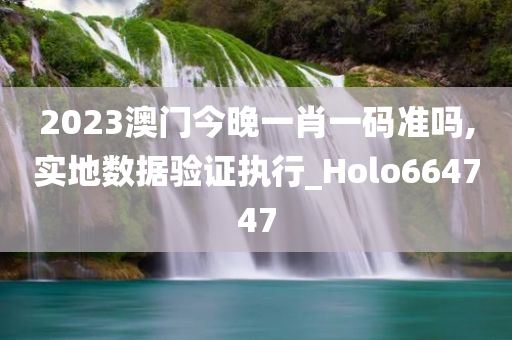 2023澳门今晚一肖一码准吗,实地数据验证执行_Holo664747